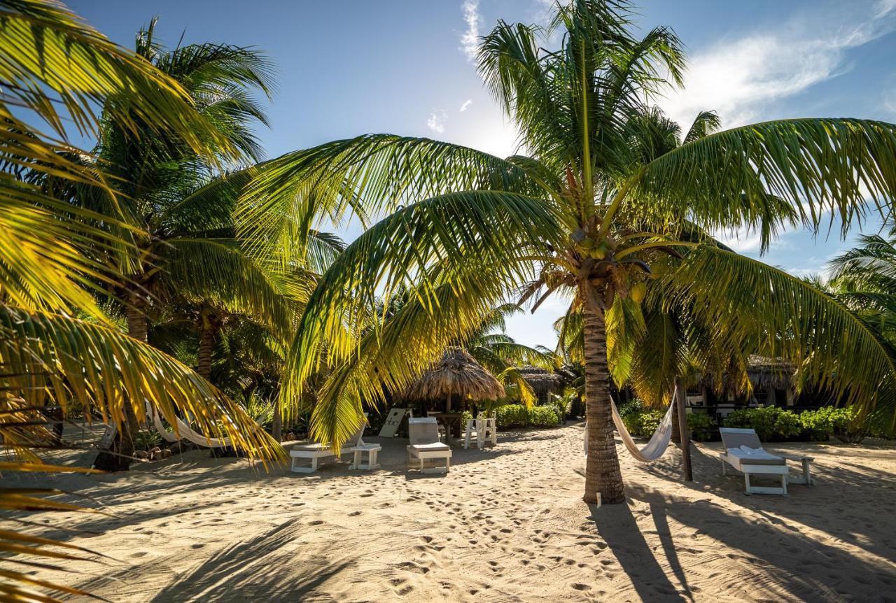 Caribbean Beach Cabanas Placencia Εξωτερικό φωτογραφία